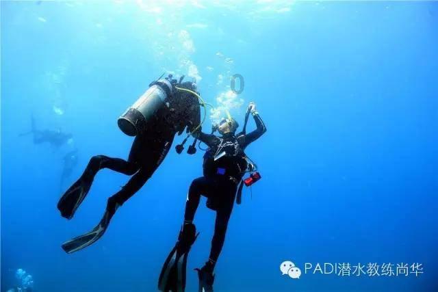 全民剧本大师内置菜单
