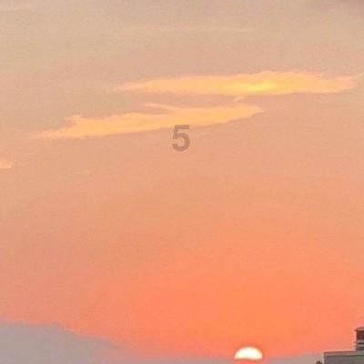 杨紫拍“荡秋千”戏为啥只露上半身?看到全景照,满屏都是尴尬